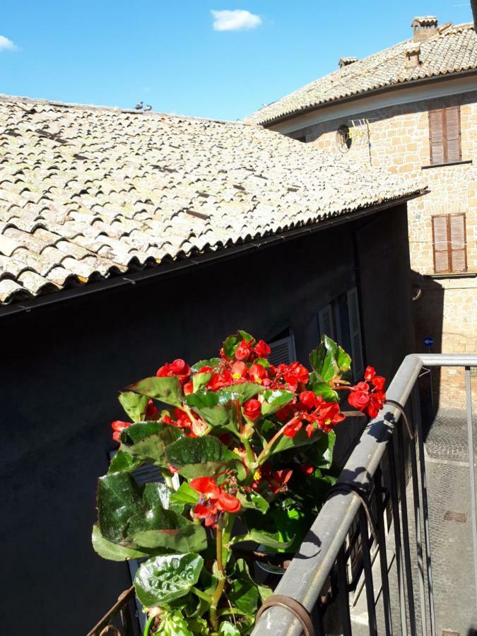 Orvieto House Lägenhet Exteriör bild
